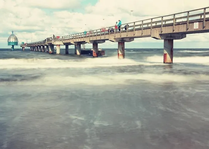 Eule Im Haus Seeadler Zinnowitz